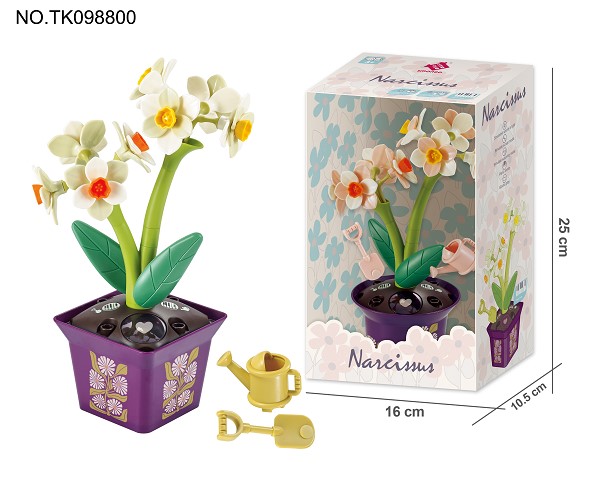 <img src='photo/2024/TK098800.jpg'width='400' height='300'>