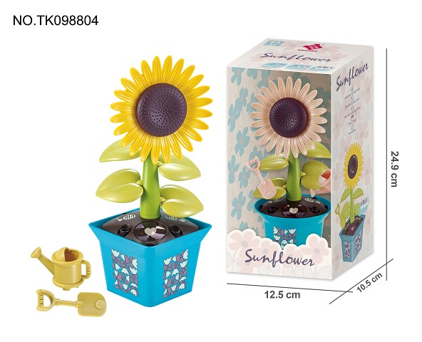 <img src='photo/2024/TK098804.jpg'width='400' height='300'>