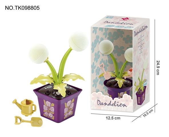 <img src='photo/2024/TK098805.jpg'width='400' height='300'>