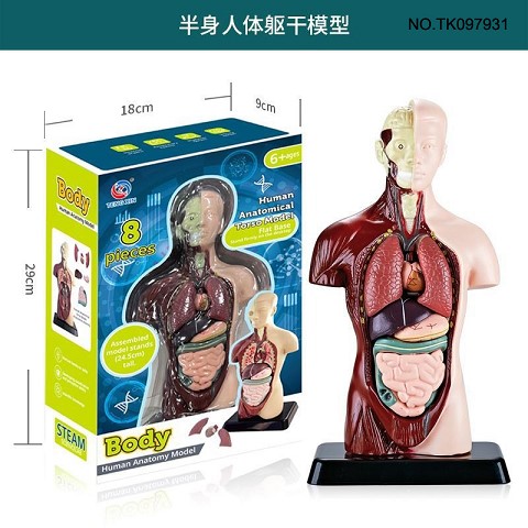 <img src='photo/2025/TK097931.jpg'width='400' height='300'>