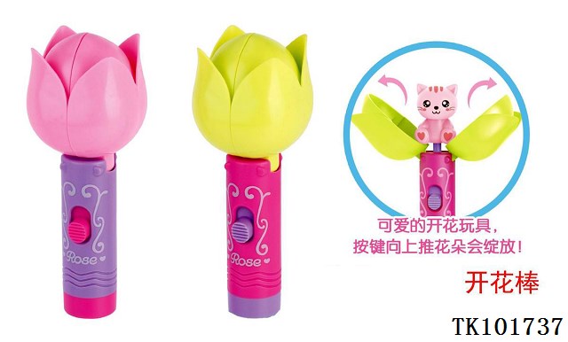 <img src='photo/2025/TK101737.jpg'width='400' height='300'>